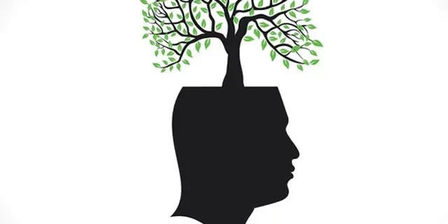 GROWTH